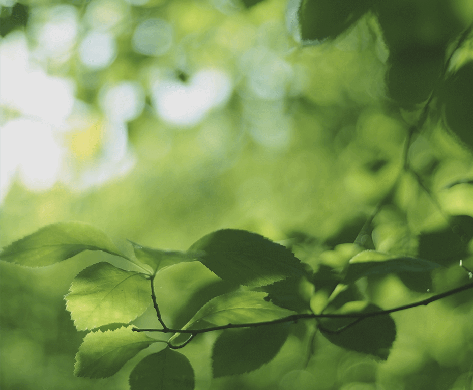 T.OATHAN帝奧昇生技 | Pili Pala酵素益生菌 | XIAN XIAN纖纖 | WEI WEI 威威 | GULI 骨力