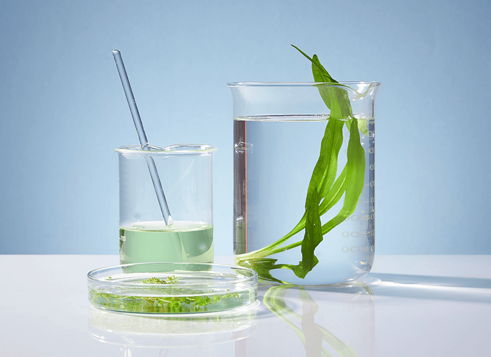 PDRB Marine Complex Serum